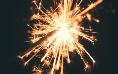 3 New Year’s Resolutions For Pet Owners